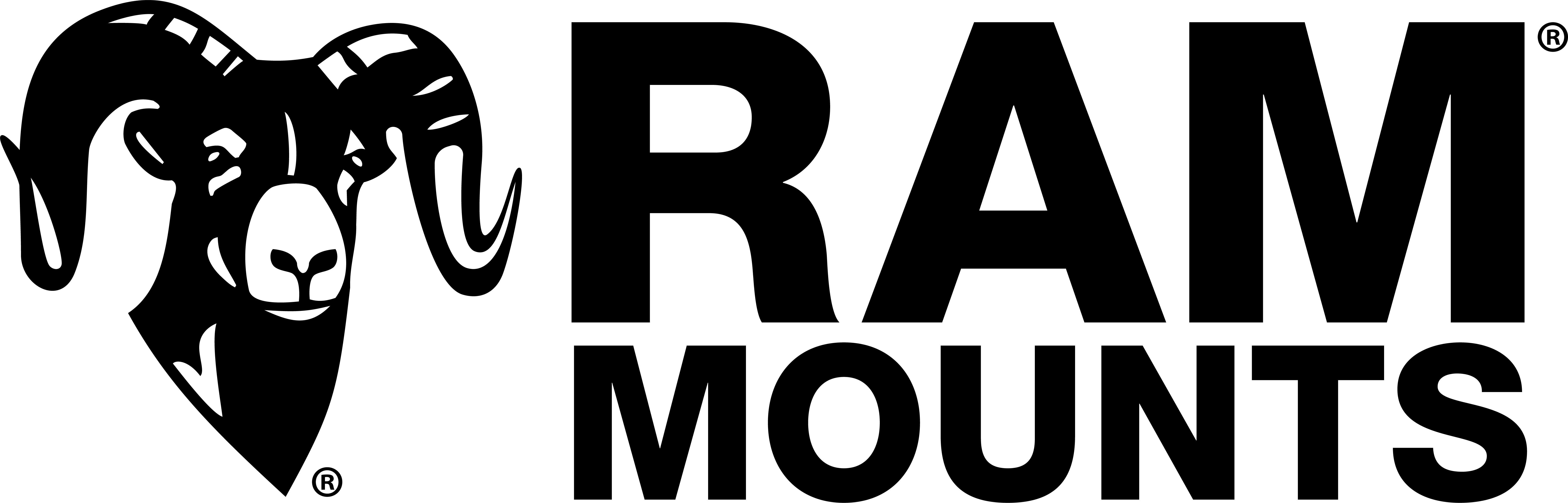 Ram Mounts